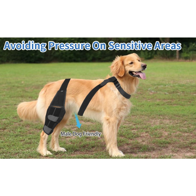 Catnip Ball Factory - Self-Entertainment Teething Wall