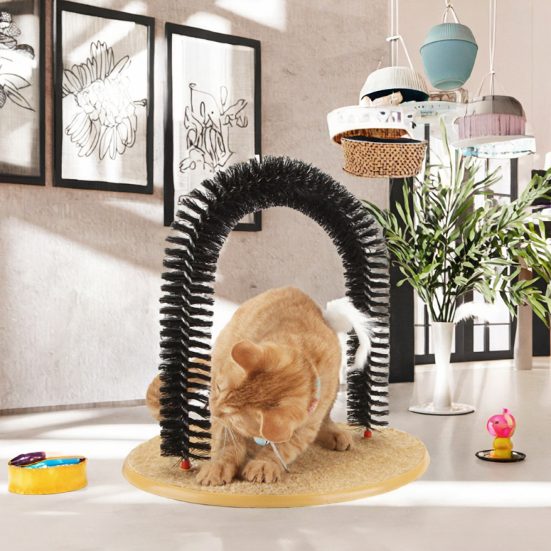 Parrot Toy Manufacturer - Luxury Custom Accessories Swing