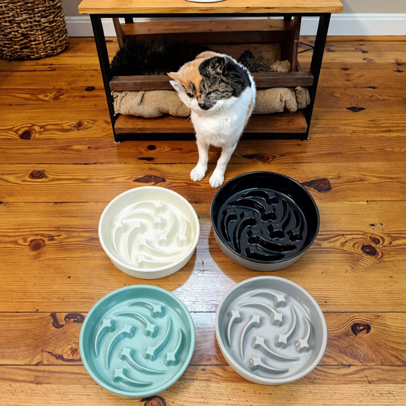 Pet Feeder Supplier - Slowing Eat Large Caliber Ceramic