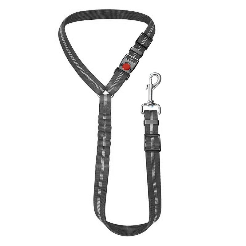 Running Belt Supplier - With Water Bottle Holder Hands Free