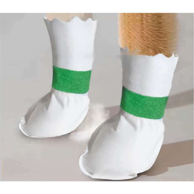 Pet Shoes Factory - High Quality Disposable Comfortable