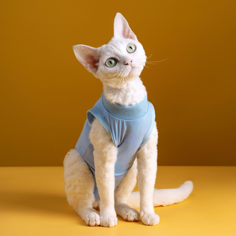 Pet Clothes Factory - Wholesale Cotton Breathable Warm