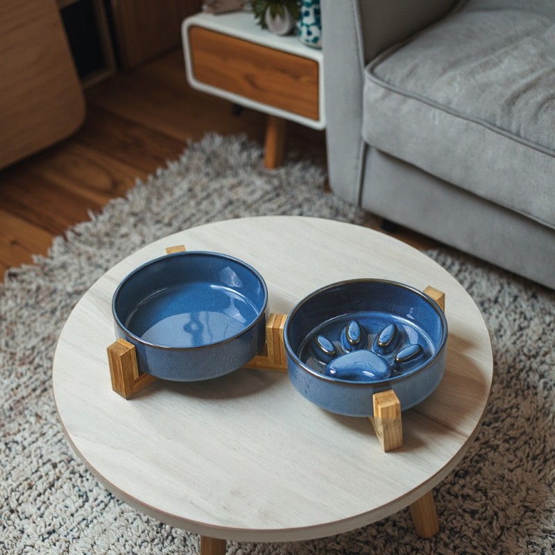 Dog Leash Supplier - New Design Eco-friendly Print Ribbon