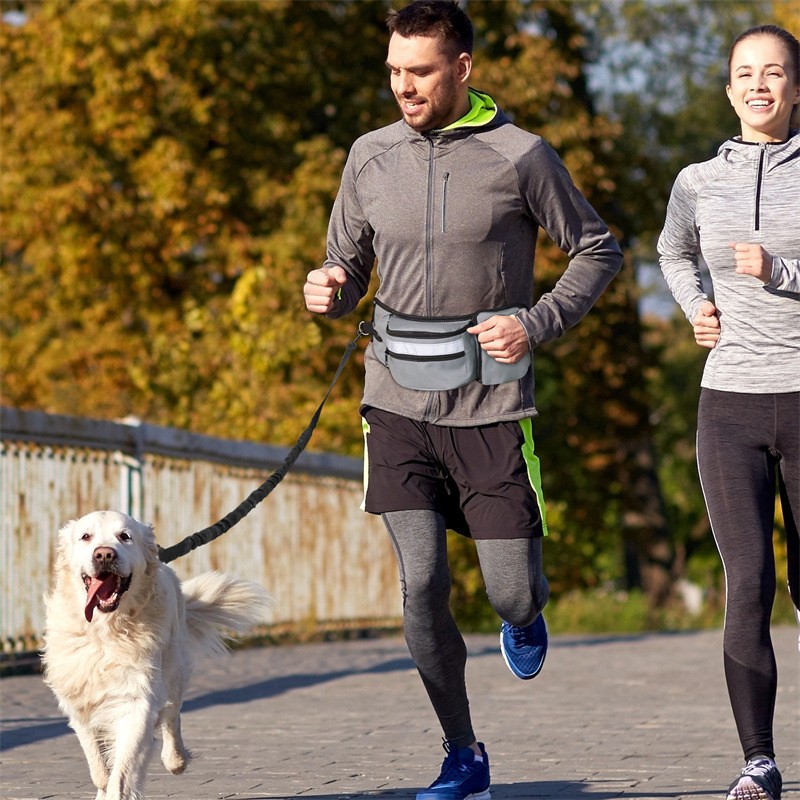 Dog Waist Bag Supplier - Free Hands Waterproof Outer Going