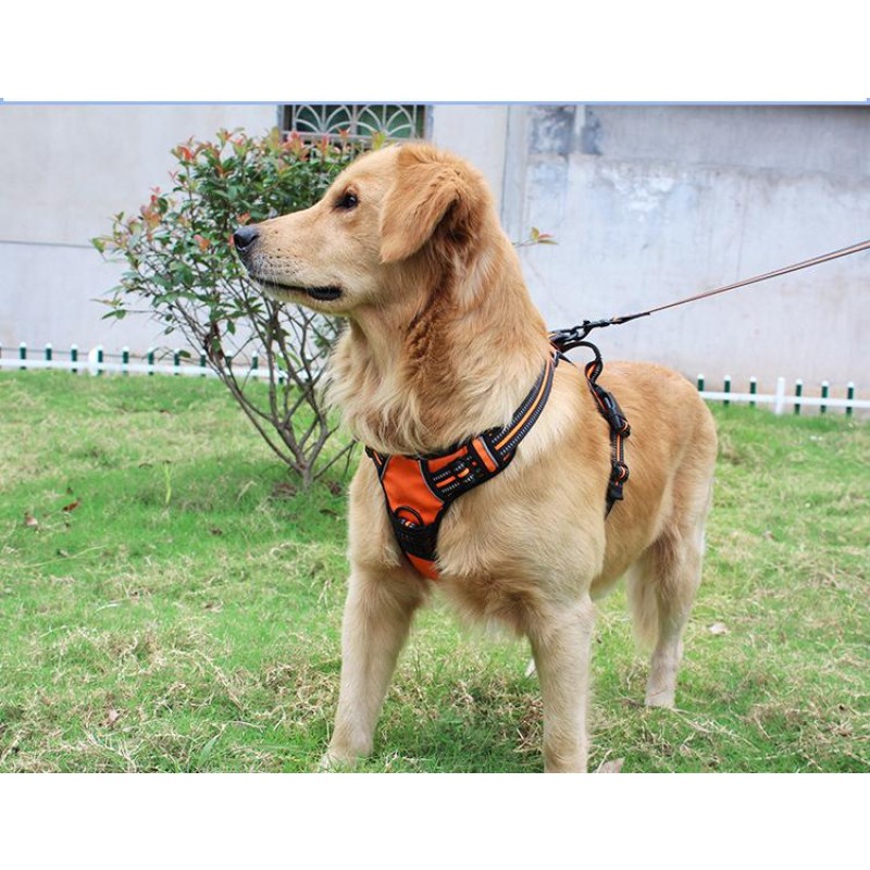 Pet Collar Supplier - Wholesale Halloween Nylon Cat Dog