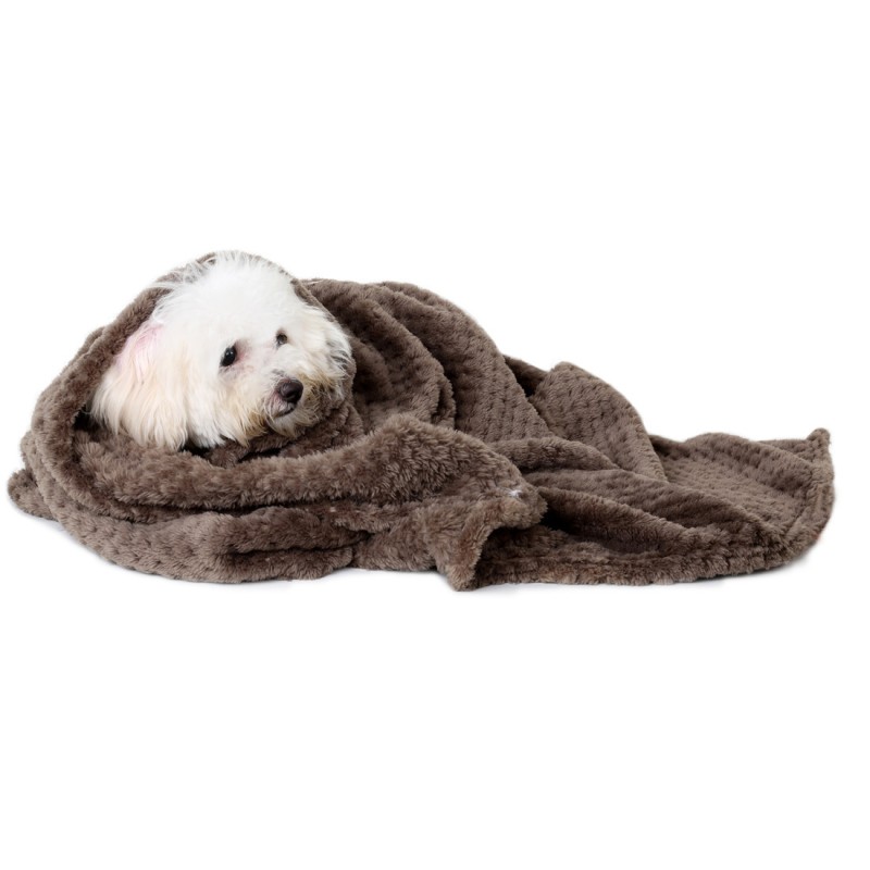Pet Blanket Supplier - High Quality Super Soft Flannel