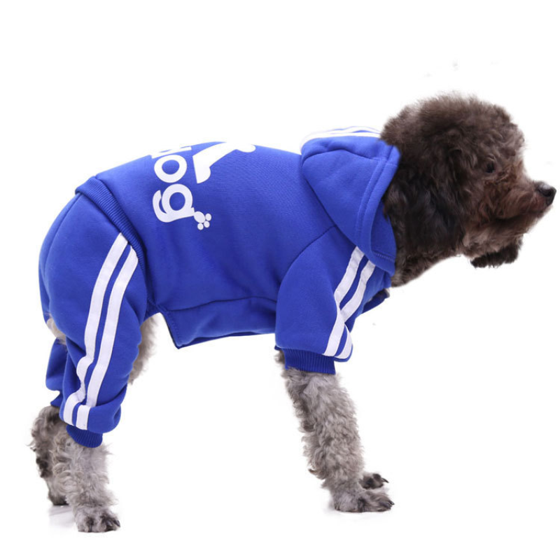 Dog Coat Supplier - Windproof Winter Padded Clothes