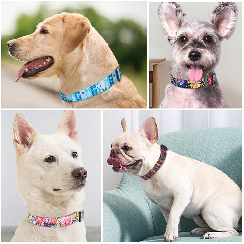 Dog GPS Collar Factory - High Quality Tactical Airtag Holder