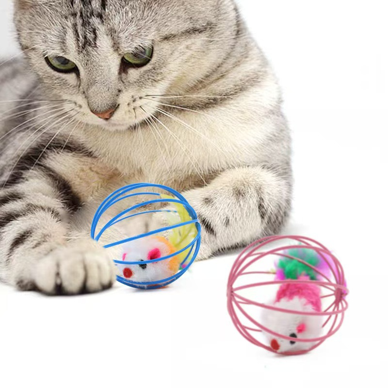 Dog Chewing Toy Manufacturer - Eco-Friendly TPR Teeth Grinding