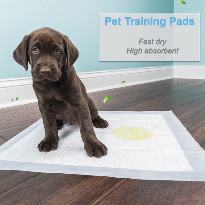 Puppy Pee Pads Manufacturer - Super Absorbent Disposable Training