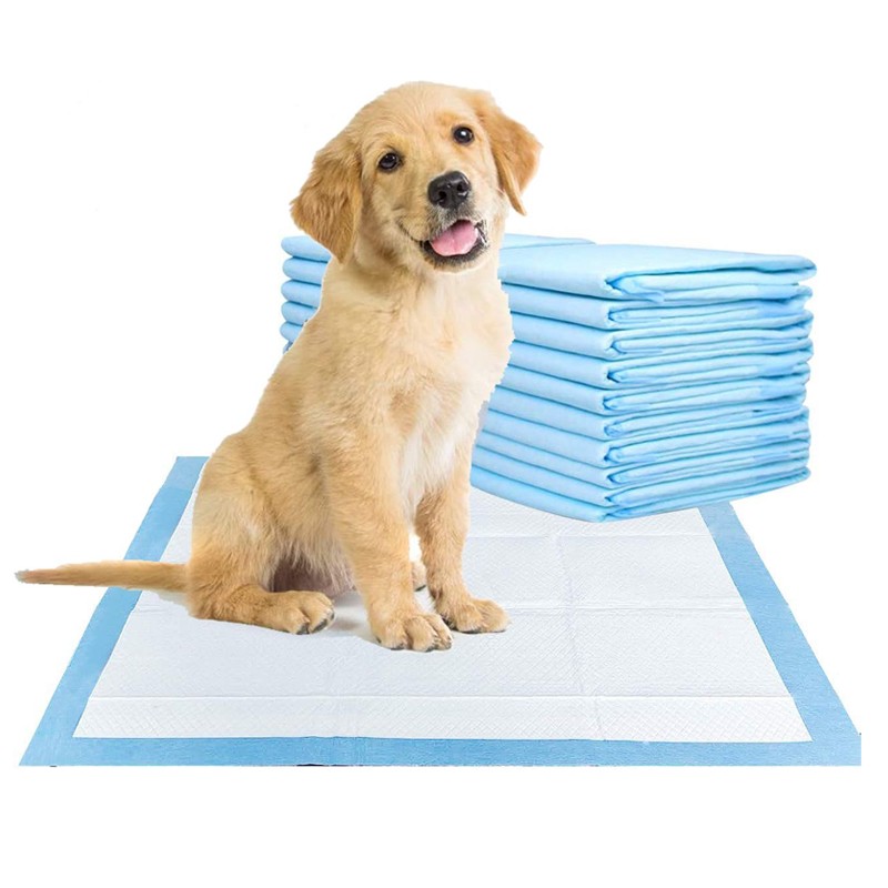 Puppy Pads Supplier - Quick Absorb Disposable Training