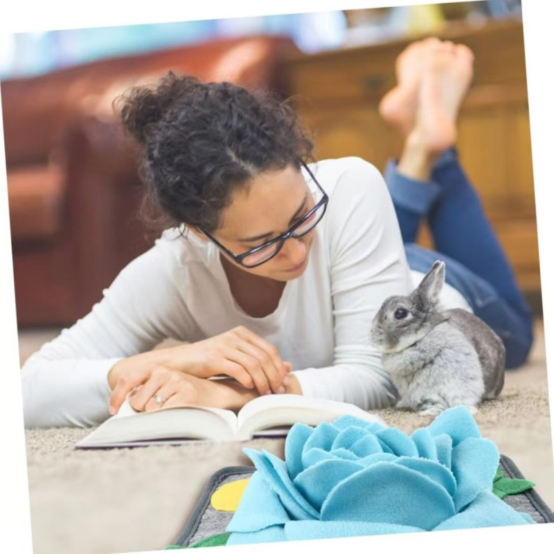 Sniffing Mat Factory - Rose Shape Rabbit Foraging Toy