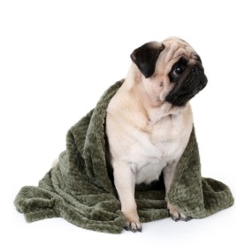 Pet Blanket Supplier - High Quality Super Soft Flannel