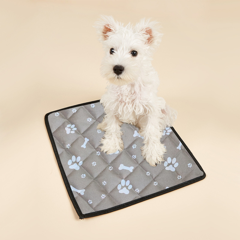 Halloween Pet Decoration Factory - 3D Printing Mighty Funny