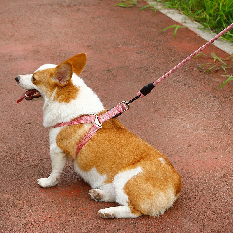 Dog Harness Manufacturer - High Quality Oxford Nylon Anti-Slip