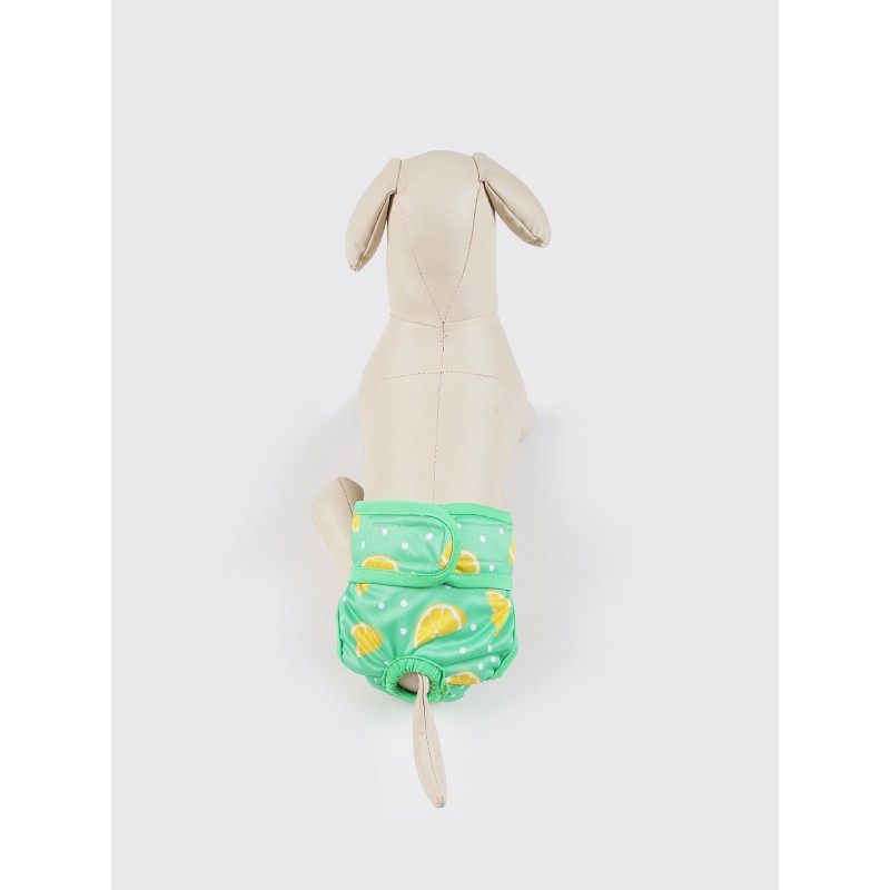 Female Dog Diapers Manufacturer - Bulk Cute Pattern Printing