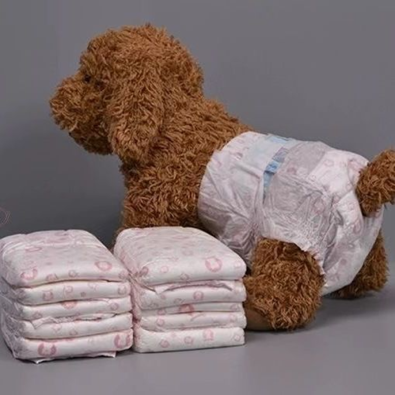 Pet Diaper Factory - Eco-Friendly Super Absorbent Disposable