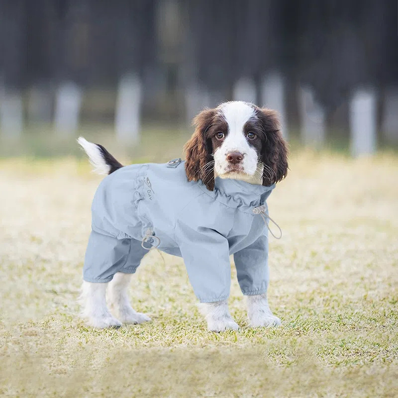 Dog Coat Manufacturer - Eco-Friendly Winter Waterproof Cloth