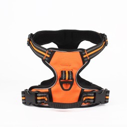 Pet Collar Supplier - Wholesale Halloween Nylon Cat Dog