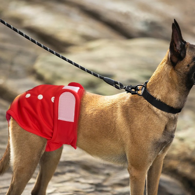 Female Dog Diaper Supplier - Eco-friendly Washable Customization Mesh