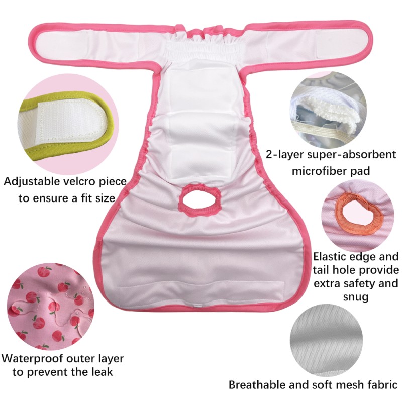 Physiological Pants Factory - Washable Dog Shorts Menstruation Sanitary