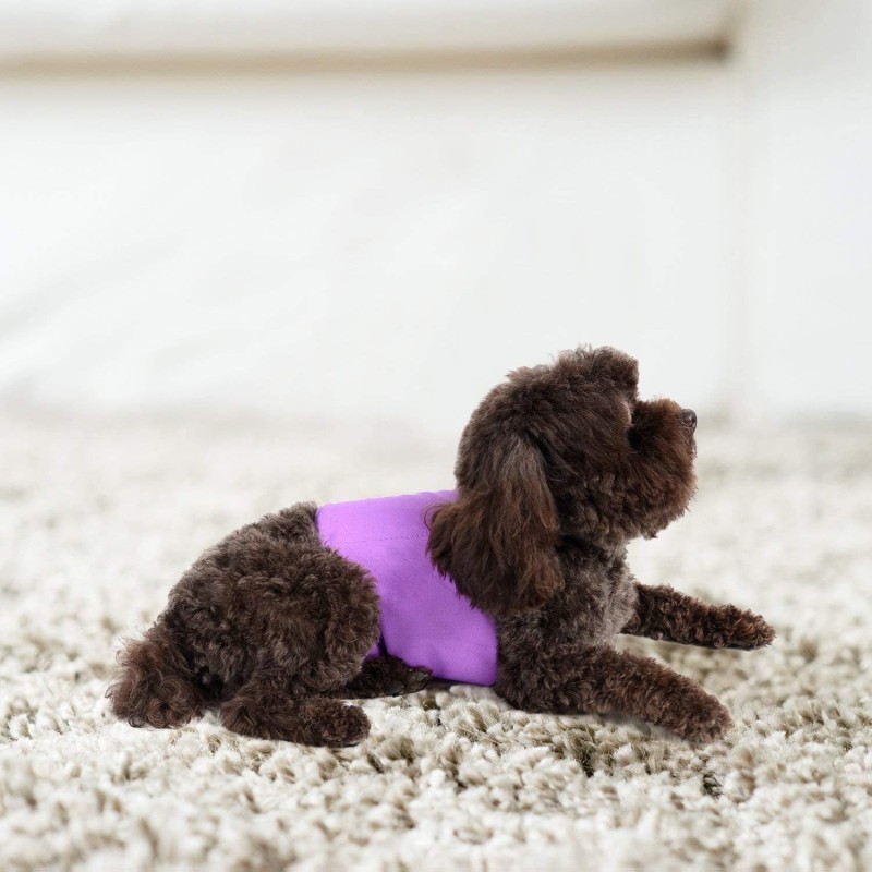 Pet Wrap Manufacturer - Big Discount Reusable PUL Cloth