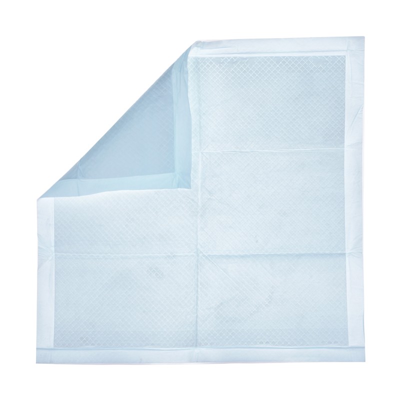Pet Training Pads Factory - Ultra Thick Disposable Heavy