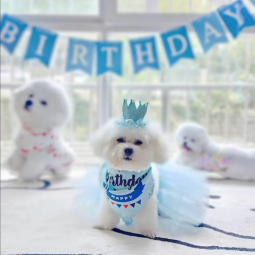 Pet Gifts Supplier - Eco-Friendly Holiday Season for Pets