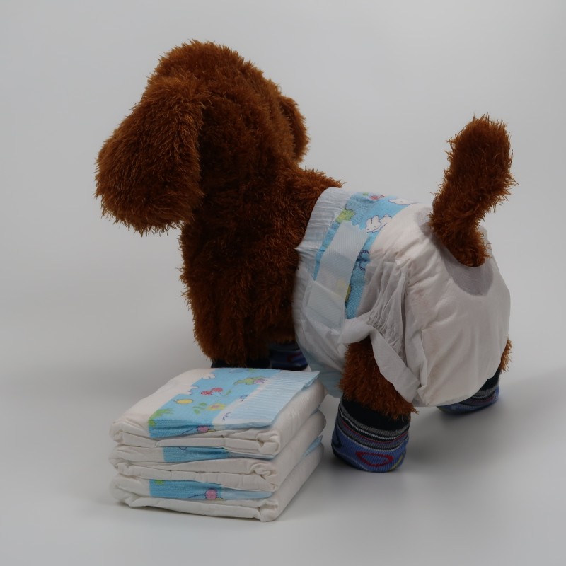 Cat Diapers Supplier - Disposable Male Wraps Incontinence