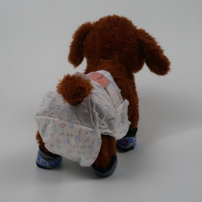 Pet Sanitary Pants Supplier - Disposable XS to XXL