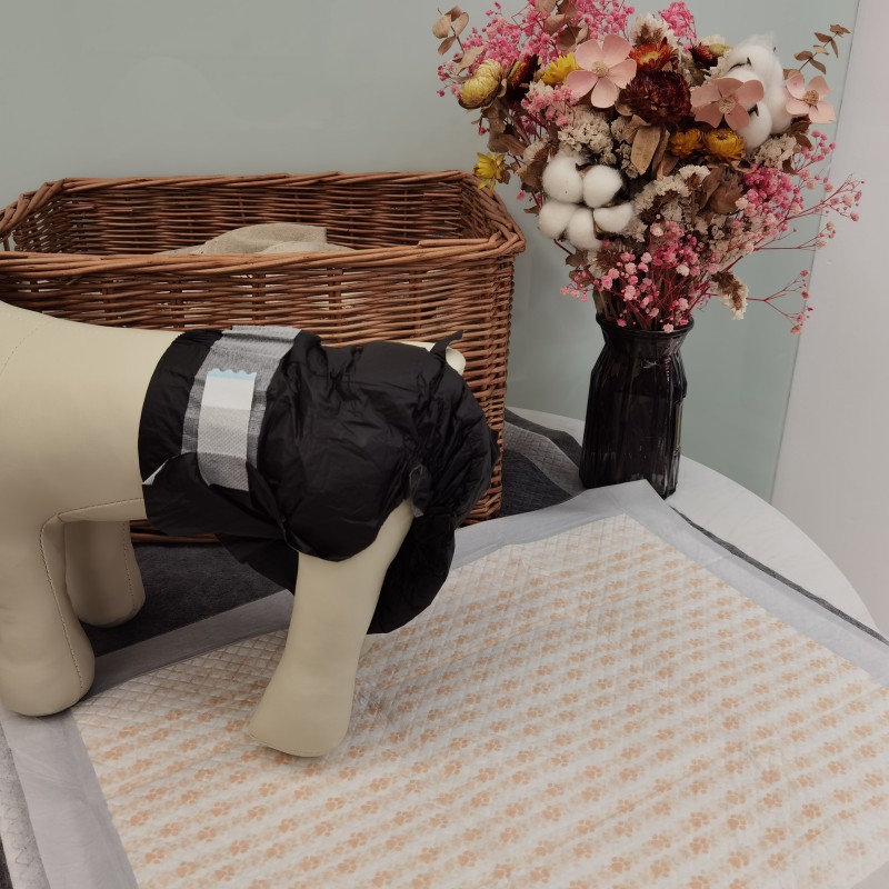 Training Pads Supplier - Health Indicator Pet Underpads