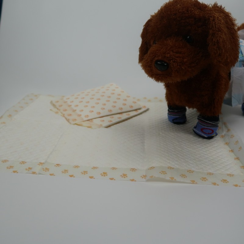 Training Pads Supplier - PH Indicator Litmus for Dogs