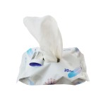 Wet Wipes