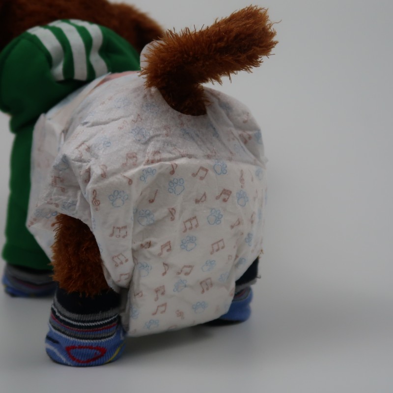 Cat Diapers Supplier - Disposable Male Wraps Incontinence