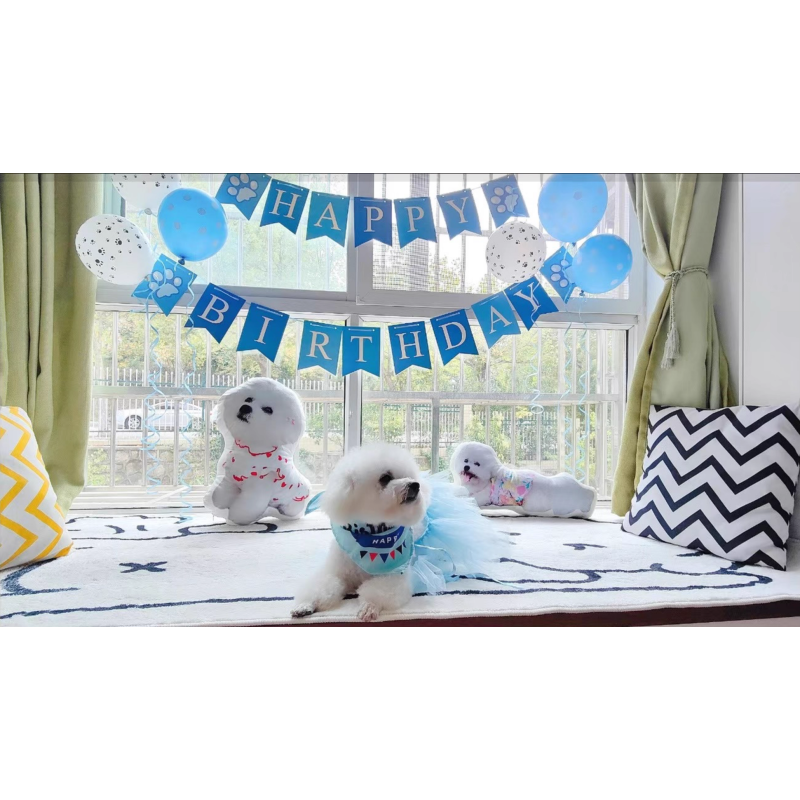 Pet Gifts Manufacturer - Eco-Friendly Birthday for Dogs Cats