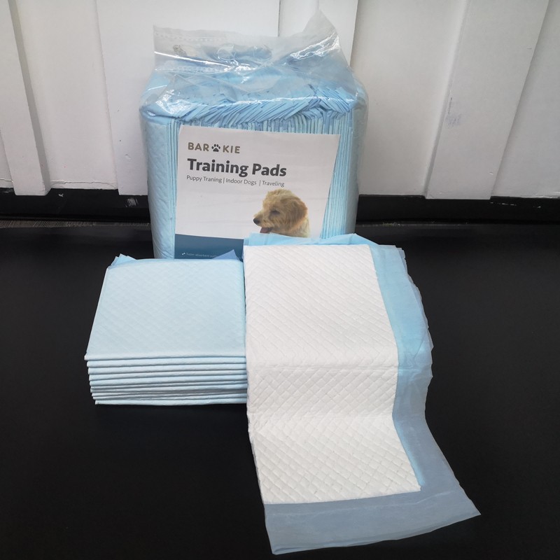 Pet Training Pads Factory - Ultra Thick Disposable Heavy