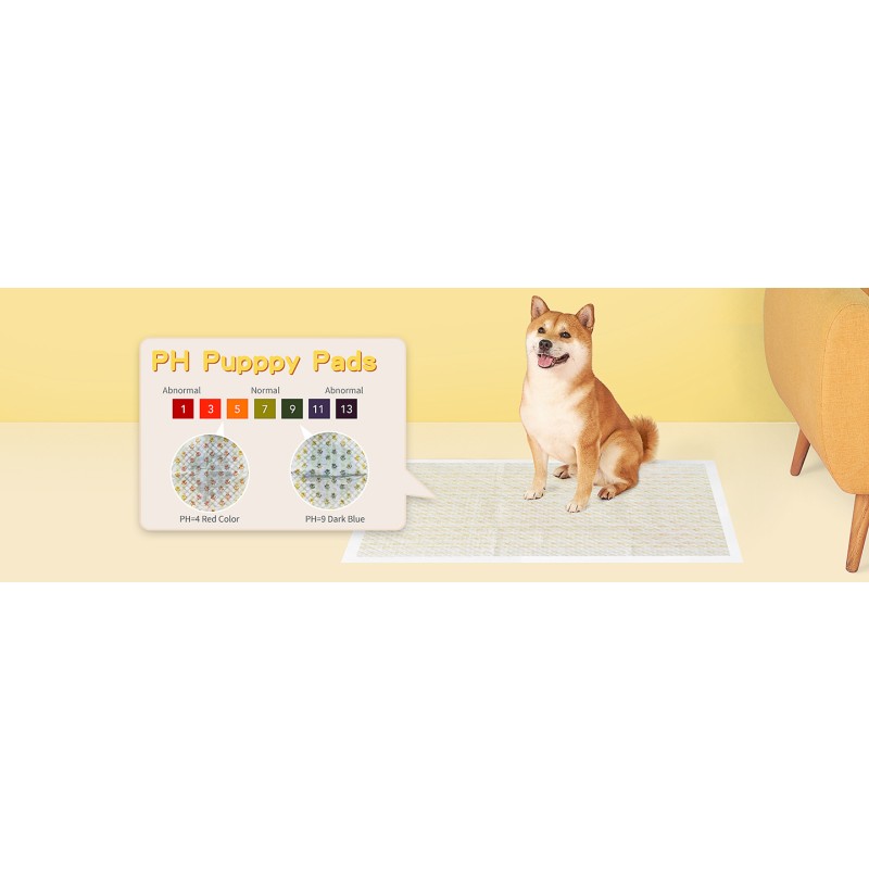 Training Pads Supplier - Health Indicator Pet Underpads