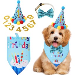 Pet Gift Basket Manufacturer - Birthday Box for Puppy Kitty