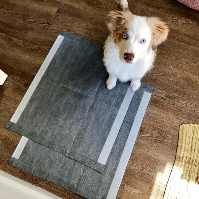 Pet Pee Pads Manufacturer - Bamboo Charcoal Transport Urine