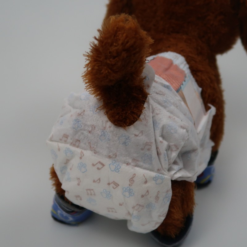 Pet Sanitary Pants Supplier - Disposable XS to XXL