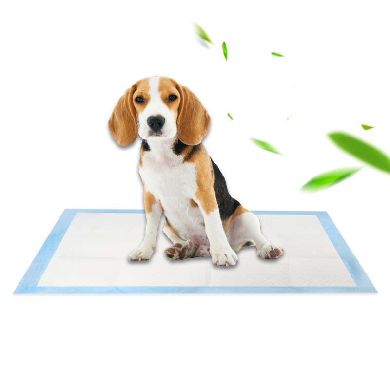 Pet Pads Manufacturer - Blue Waterproof Adhesive Disposable