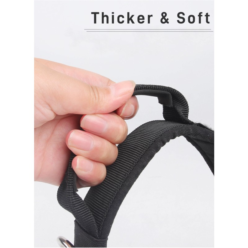 Training Collars Supplier - Factory Price Adjustable Nylon