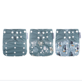 Baby Diapers Supplier - Coola Peach 3pcs Set Reusable