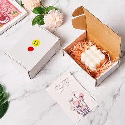 Bubble Envelope Bag Manufacturer - Custom Logistics Express Bag