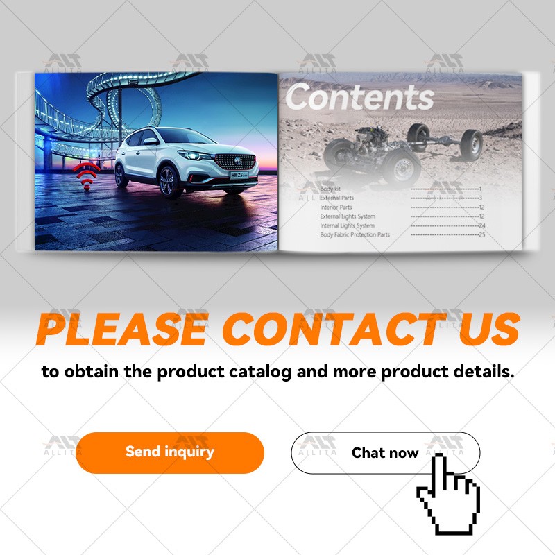 Body Kit Manufacturer - Roof Rack Ladder for MG ZS