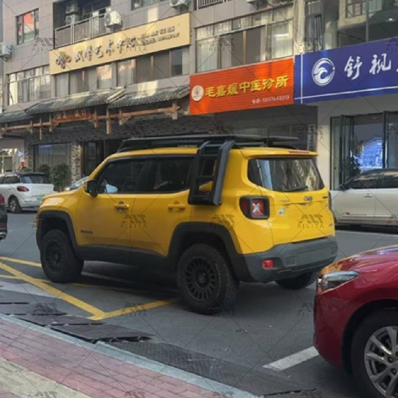 Roof Storage Factory - Side Ladders Box for Renegade