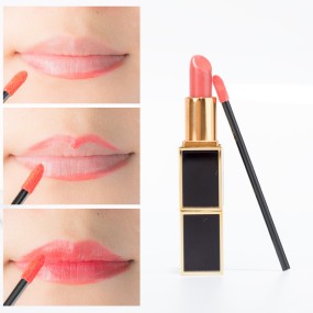 Lip Brush Supplier - 100 Disposable Lip Stick Portable Mini Makeup Brush