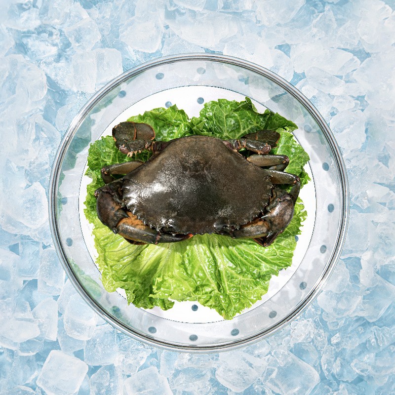 Plastic Crisper Manufacturer - Transparent Fridge Organization Bin