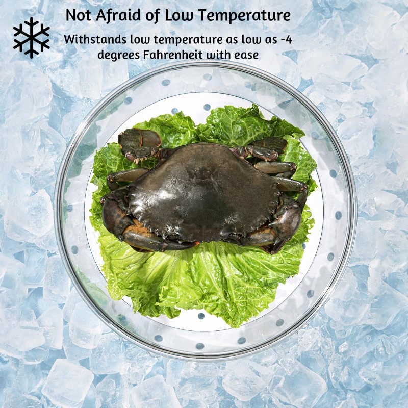 Food Storage Box Manufacturer - BPA Free Multifunction Freshness