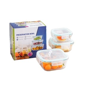 Meal Container Manufacturer - Leak Proof Lock Lid Microwave